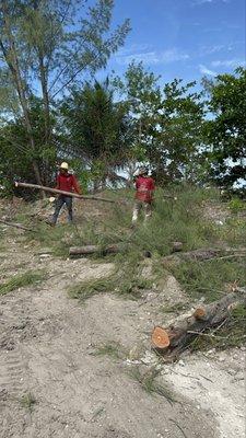 EBM Property Maintenance