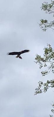 Redwood Elementary School