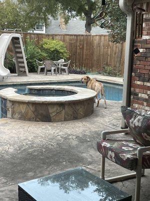 Miller's Pool Service