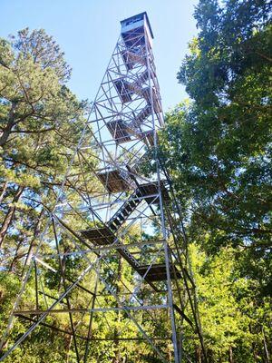 Land Between the Lakes