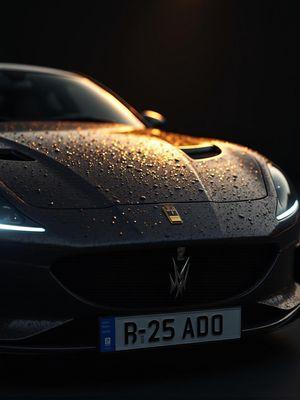 Prestige Auto Detailing