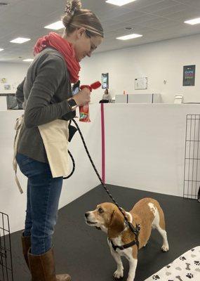 Success Just Clicks Dog Training