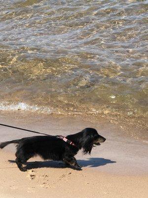 Thompson Veterinary Clinic