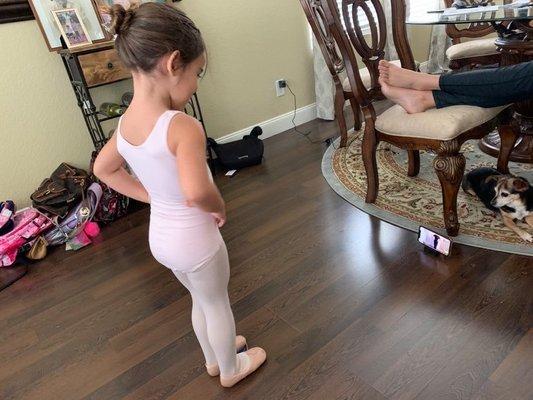 Collective Dance Artistry