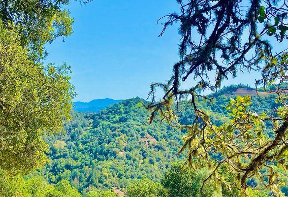 Lake Sonoma Resort Area