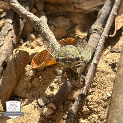 Proverbs Place School House