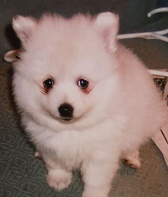 Western Lakes Training