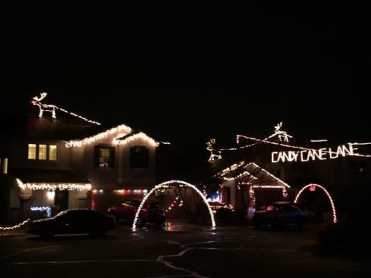 Candy Cane Lane