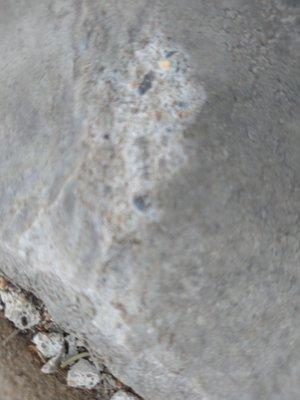 Sorenson Tree Service