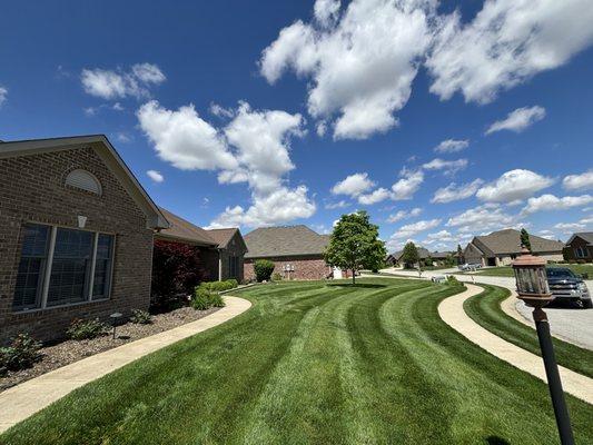 Taylor’s Lawn Maintenance