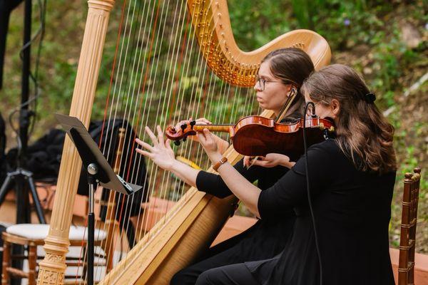 Stephanie - Harpist