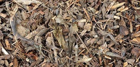 A White Meadows Company