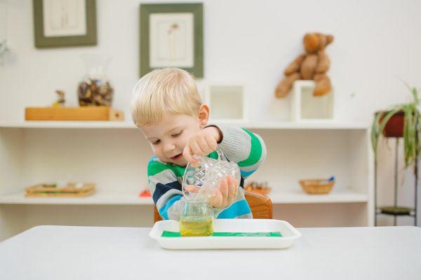 The Montessori Learning Center Of Park Ridge