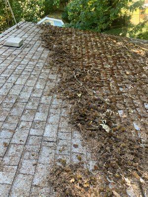 Pros Gutter Cleaning