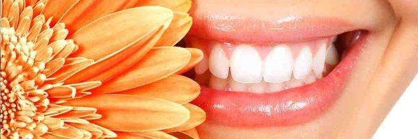 Hauppauge Family Dental Care: Eugene Avrash, DDS