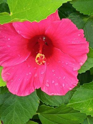 KA Barry Photography Studio