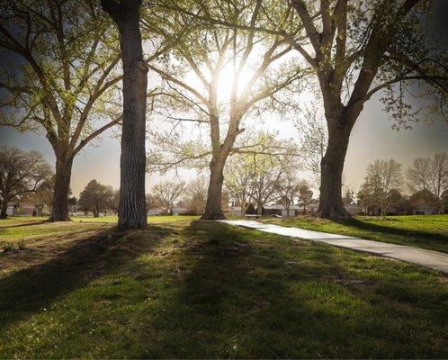 Loma del Rey Park