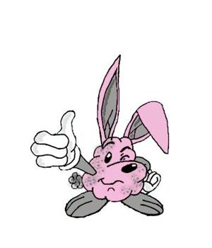 Gotta Love the Bunny