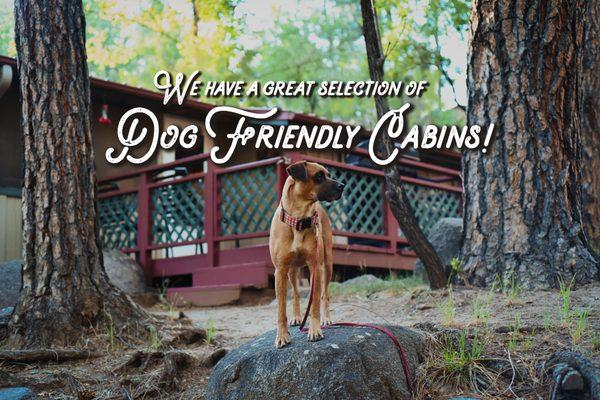 Cozy Cabins Real Estate