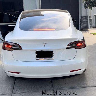 Kniesel's Collision - Specialized