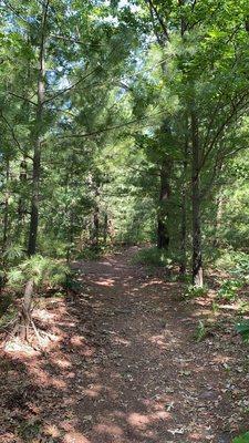 Mill Bluff State Park