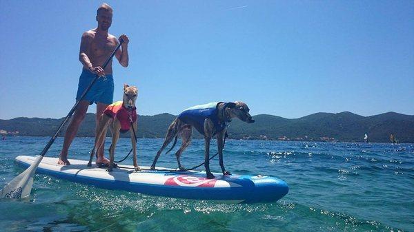 Surf 'n Sea Custom Wetsuits