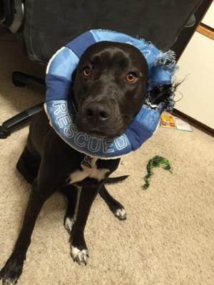 Asmussen & Associates