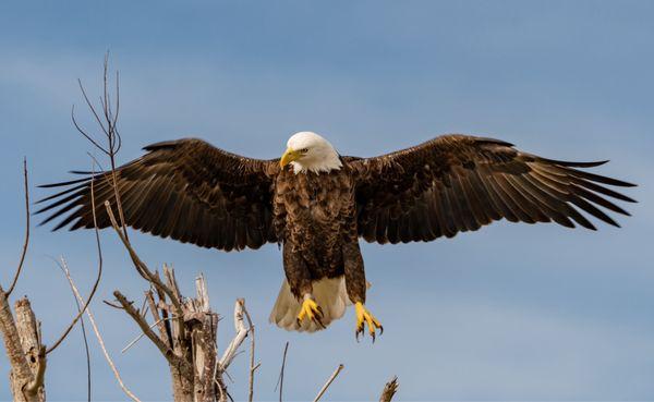 Another popular local...