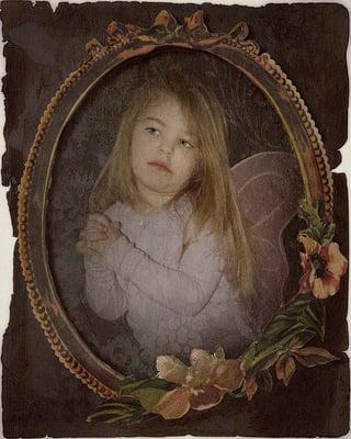 Dale Barlow Photography