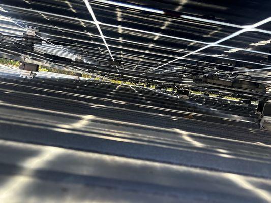 RainShield Solutions