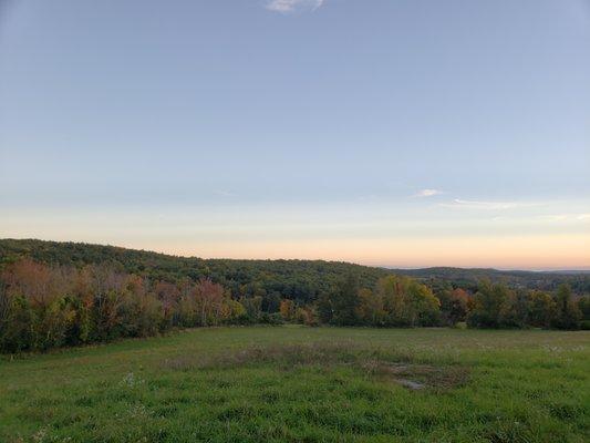 View from the top of the hill
