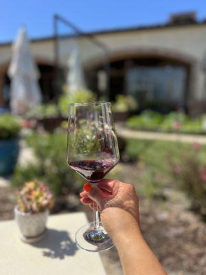 DAOU Vineyards