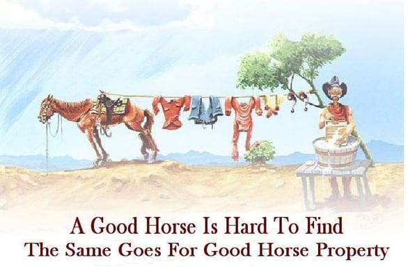 Horse Properties of Utah