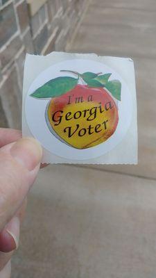 My GA Voter's Button