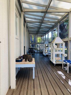 Woods Humane Society - North County