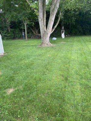 Taylor Outdoor Services