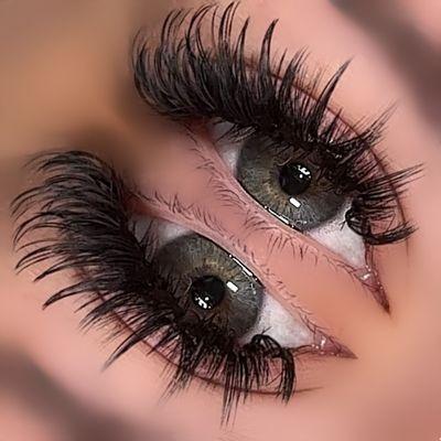 Just Lash