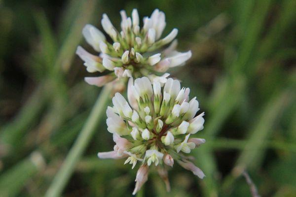 Kora Marie Photography