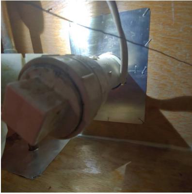 Master Mice Proofing