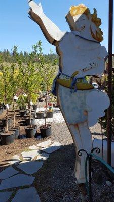Blue Moon Garden and Nursery