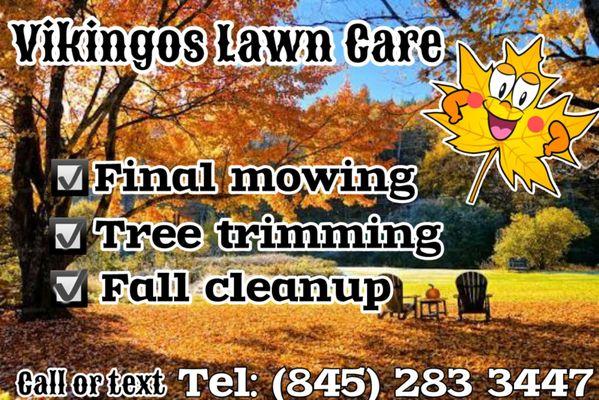 Vikingos Lawn care Landscaping