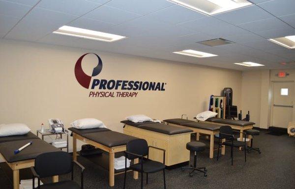 Professional Physical Therapy
