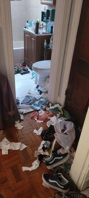 Gunston Hall Apartments