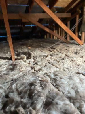 Relyont Builder Services