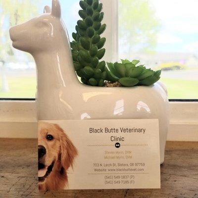 Black Butte Veterinary Clinic