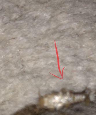 Bristol Courts Condo