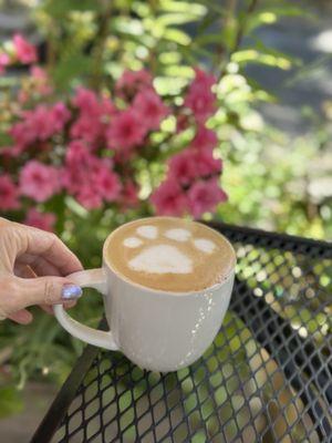 Oat milk latte