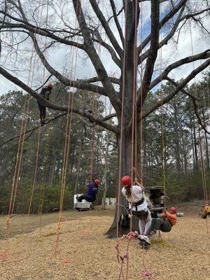 Panola Mountain State Park