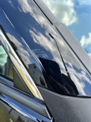 Scratches I was told are bug poop stains.