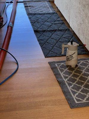TriStar Carpet Cleaning
